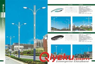 高效节能，稳定耐用——250W道路照明灯的低价供应与产品优势